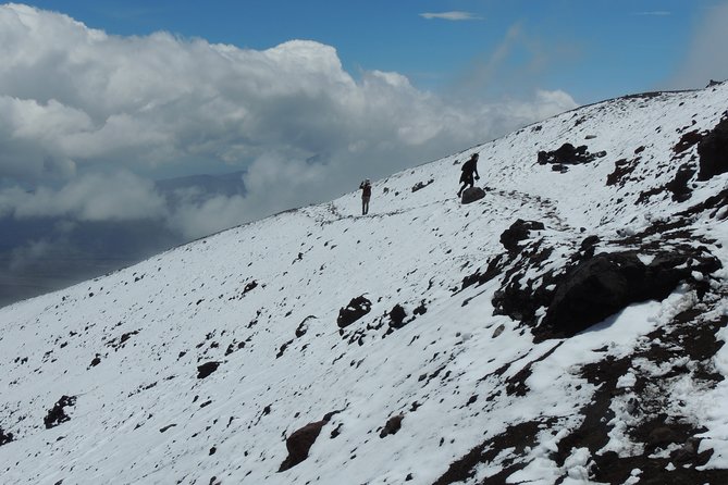 Cotopaxi National Park and Inca Ruins Day Trip - Traveler Reviews