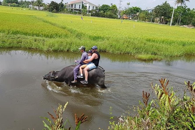 Countryside Tour of Hoi An, Basket Boat, Buffalo Ride, Farming With Local Farmer - Last Words