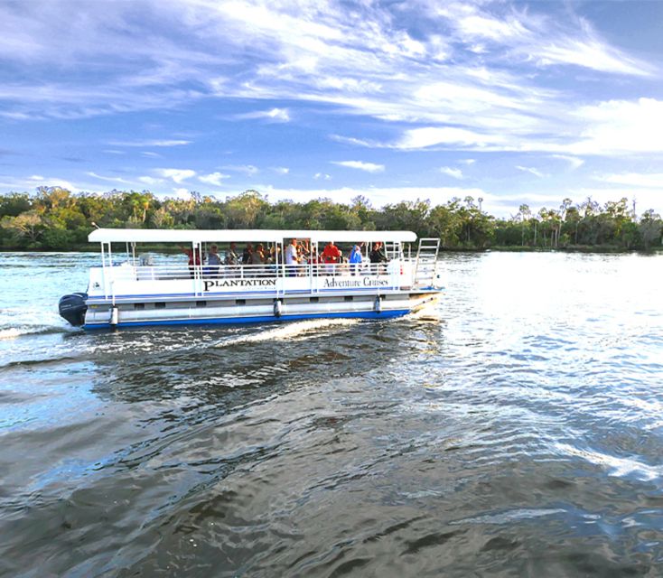 Crystal River: Kings Bay Manatee Sunset Cruise - Customer Reviews and Feedback