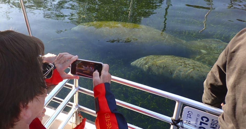 Crystal River: Manatee Swim Group Tour - Additional Tour Details