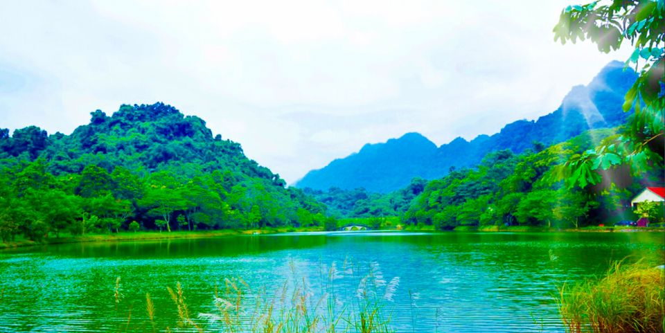 Cuc Phuong Forest - The Forest Of Thousands Of Butterflies - Wildlife Habitat