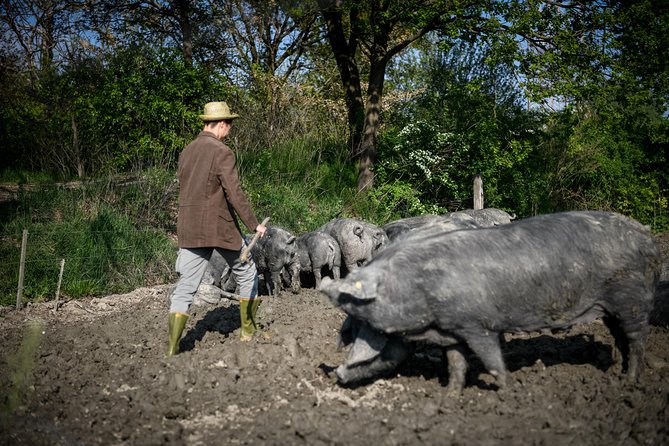 Culatello of Zibello Private Tour With Lunch and Farm Visit - Cancellation Policy and Refunds