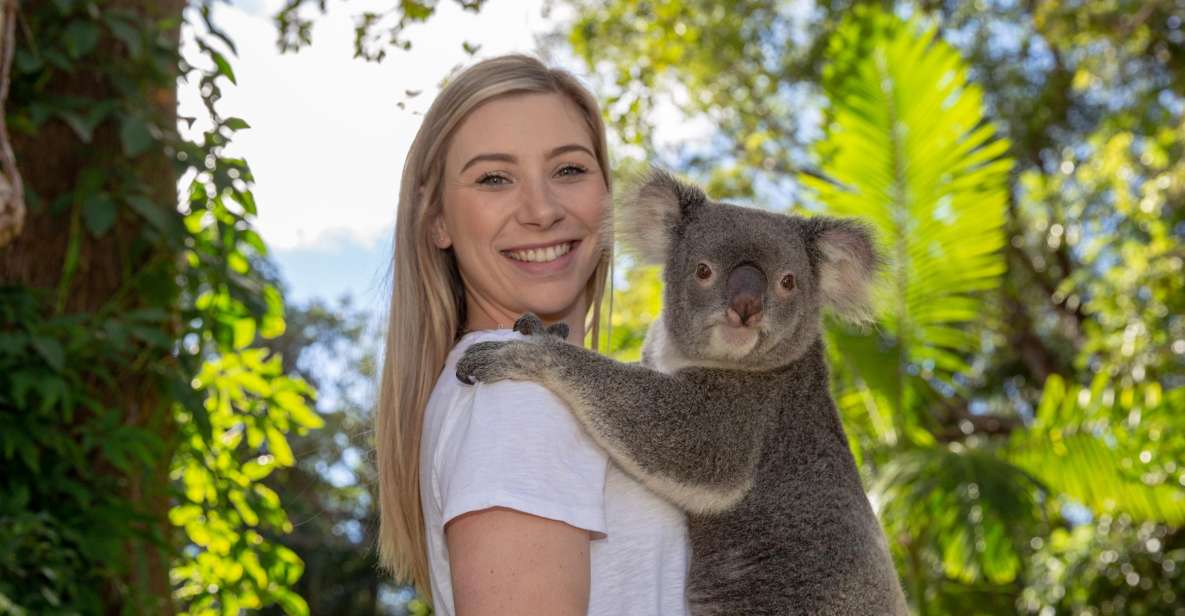 Currumbin Wildlife Sanctuary Ticket & Koala Photo - Customer Reviews