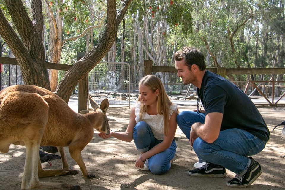 Currumbin Wildlife Sanctuary Ticket - Customer Reviews and Ratings