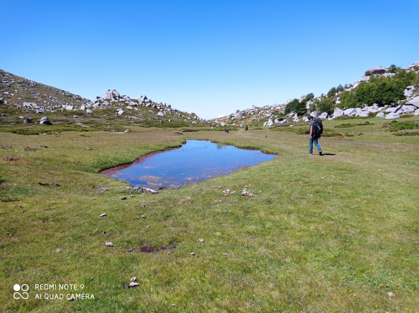 Cuscionu's Plateau, 1000 Waterholes' Grass: Pozzines - Last Words