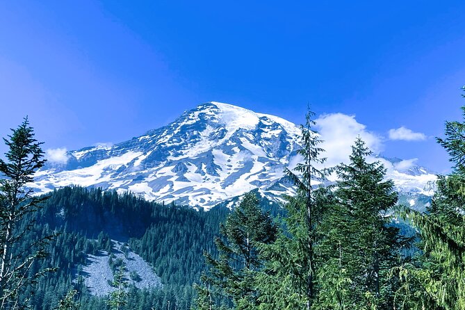 Customized Mount Rainier Tour From Seattle - Common questions