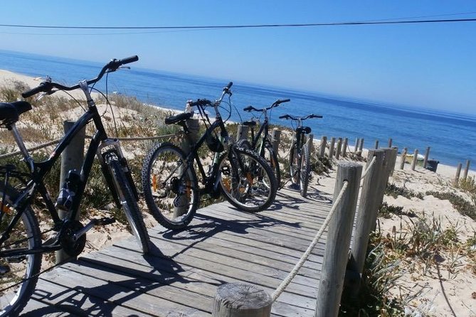 Cycling the Algarves Ria Formosa From Faro - Meeting Point and Start Time