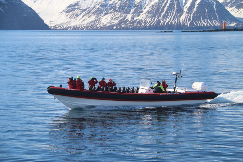 Dalvík: Whale Watching Speedboat Tour - Additional Information