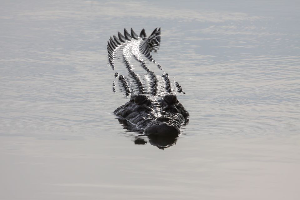 Darwin: Kakadu National Park Day Trip - Booking Information