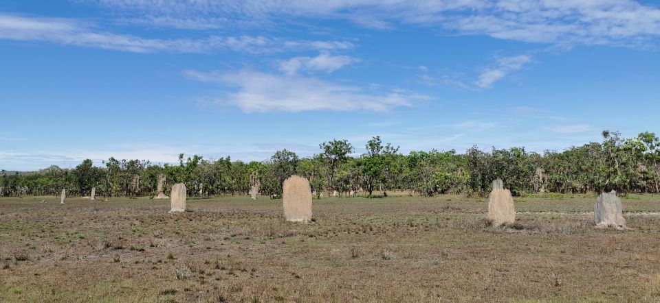 Darwin: Litchfield National Park and Berry Springs Day Tour - Important Information