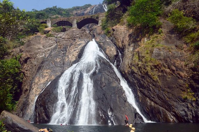 Day Trip to Mollem National Park Including Dudhsagar Falls and Jeep Safari From Goa - Travel Logistics: Transport and Guide Details