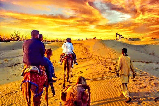 Desert Safari Dubai Quad Bike Camel Ride , Bbq Dinner, Sand Board Live Shows - Location Details