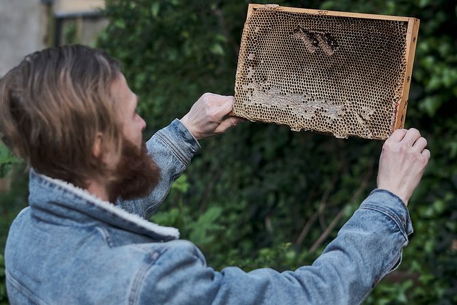 Discover Active Beehives in London - Beehive Etiquette and Safety