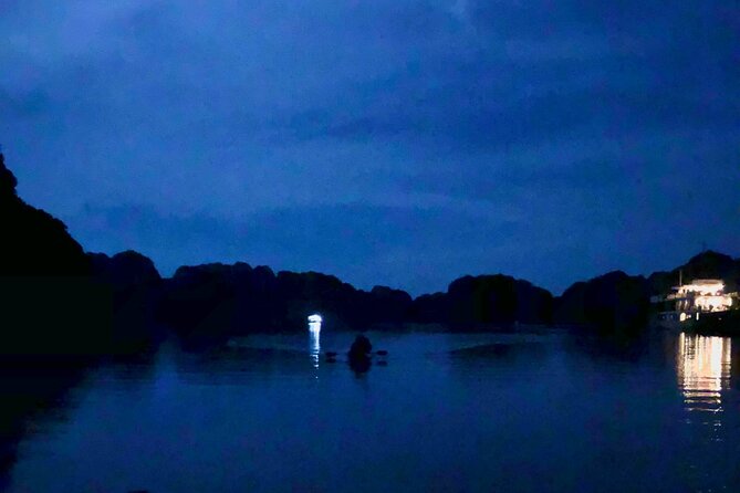 Discover Bioluminescent Plankton Using Kayak in Lan Ha Bay - Booking Information and Options