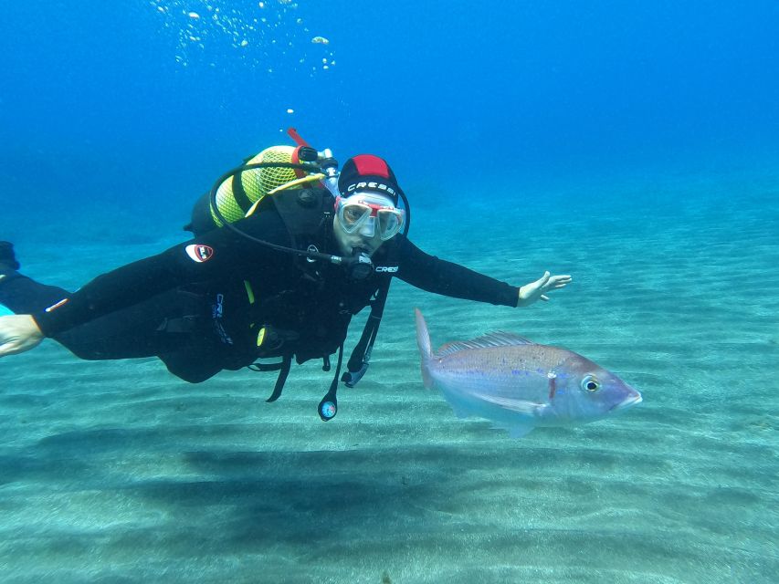 Discover Scuba Diving in the Ocean With Pictures and Snacks - Free Cancellation Policy
