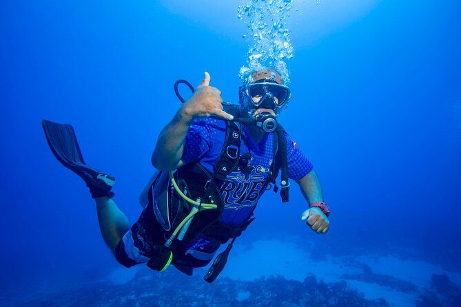 Discovery Scuba Diving !! - Traveler Reviews and Ratings
