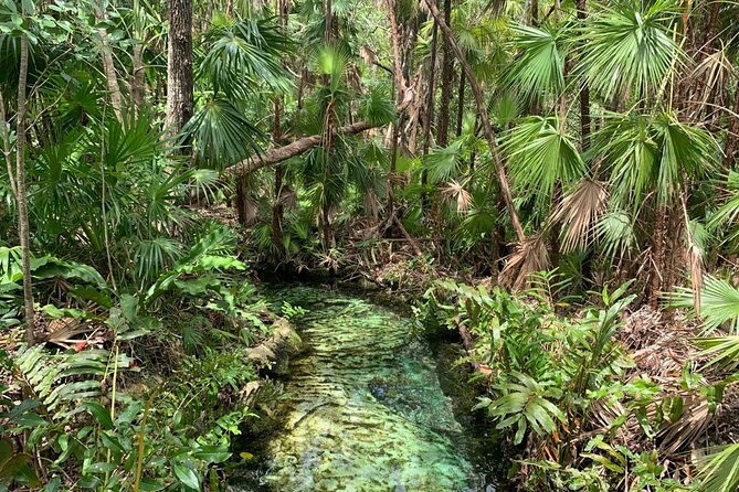 Discovery Tsonoti in Day of Non Touristic Cenotes - Last Words