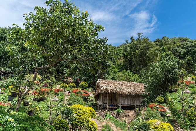 Doi Inthanon National Park - Chiang Mai - Last Words