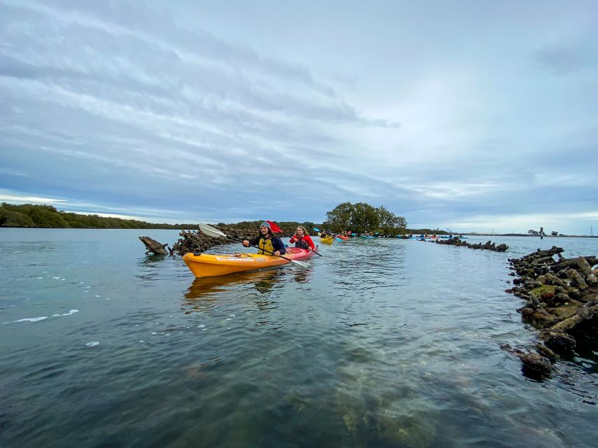 Dolphin Sanctuary and Ships Graveyard Kayak Tour - Customer Reviews