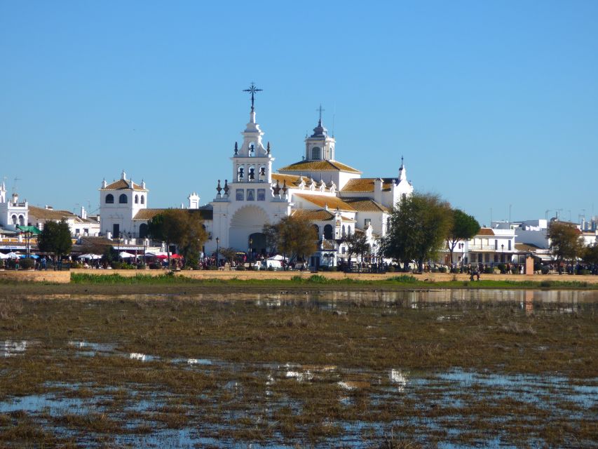 Doñana National Park Off-Road Tour From Seville - Safety, Service, and Organization Ratings