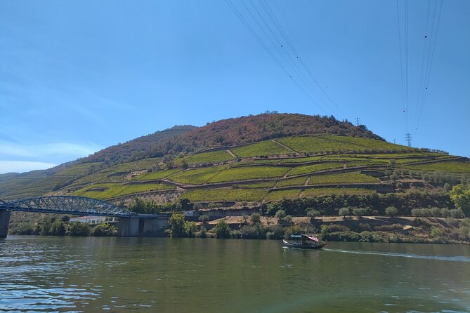 Douro Tour With 2 Wine Estate and Tradicional Lunch - Last Words