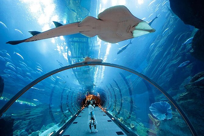 Dubai Aquarium and Underwater Zoo Combo Admission Ticket - Safety Measures in Place