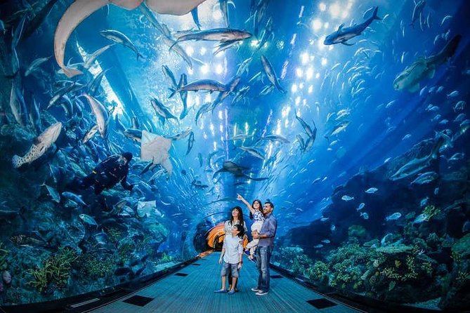 Dubai Aquarium and Underwater Zoo Combo With Sharing Transfer - Accessibility and Restrictions