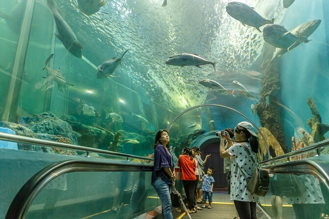 Dubai Aquarium and Underwater Zoo Ticket - Cancellation Policy and Reviews