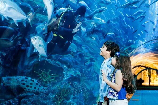 Dubai Aquarium and Underwater Zoo With Penguin - Directions and Contact Details