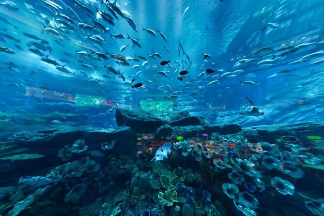 Dubai Aquarium & Underwater Zoo - Basic - Common questions
