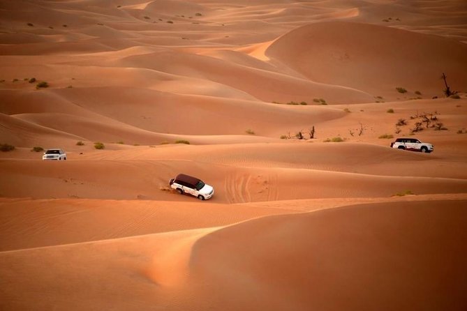 Dubai Desert Safari by Camel and 4x4 Jeep With BBQ Dinner With Live Belly Dance - Tour Inclusions