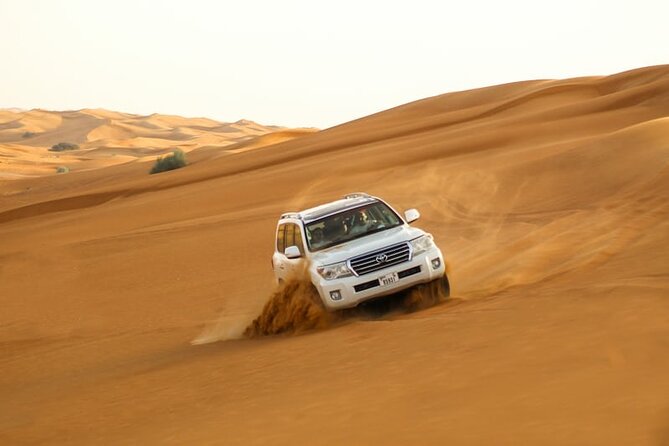 Dubai Desert Safari Tour With BBQ Dinner Quide Bike & Camel Ride - What to Expect During the Tour