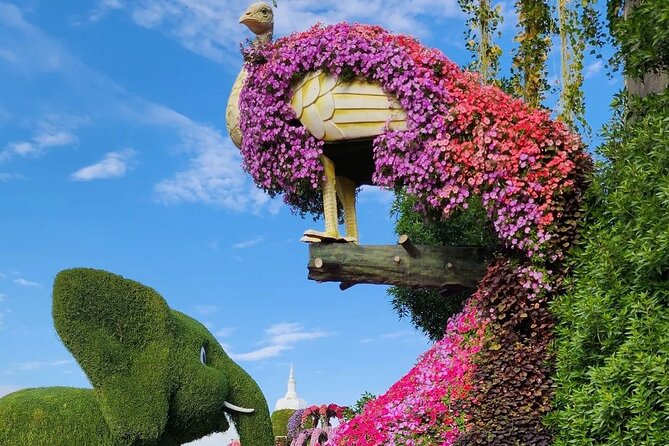 Dubai Miracle Garden Skip the Line E-Ticket - Reviews and Photos