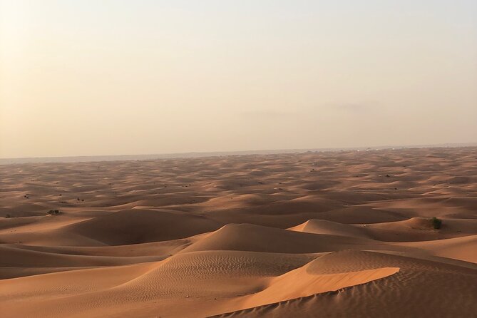 Dubai Morning Desert Safari ( Private Tour ) - Common questions