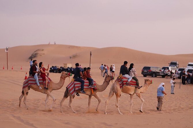 Dubai Private Desert Safari: Quad Bikes, Camel Rides, Dinner - Directions