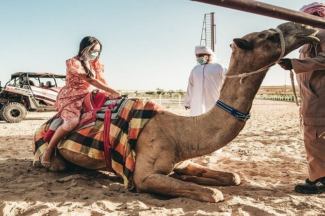 Dubai Royal Camel Race With Prime Seats & Short Camel Ride - Customer Reviews and Ratings