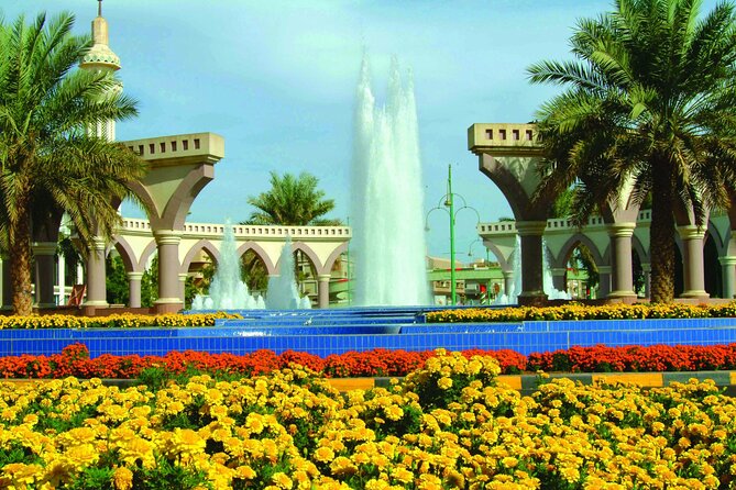 Dubai to Al Ain Private Tour a Journey From Sand to Lush Oasis. - Scenic Landscapes