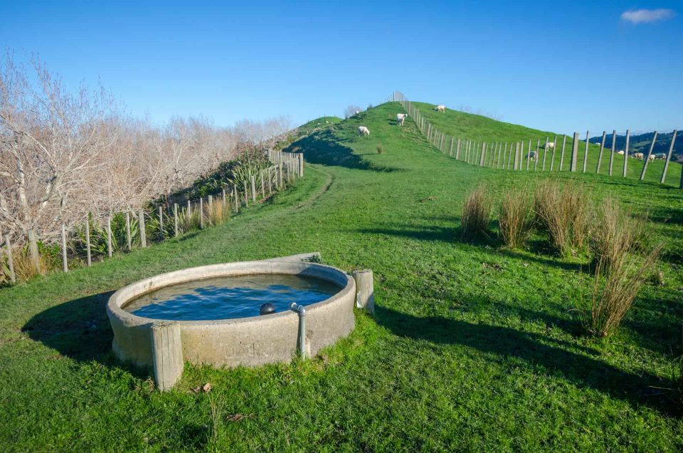 Duder Regional Park Walking Tours - Participant and Date Selection