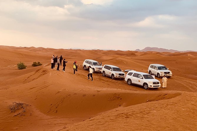 DUNE BASHING - Desert Safari, The Heartbeat of Dubai! - Real Traveler Reviews and Ratings