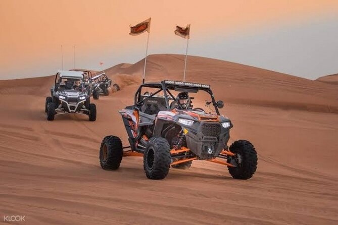 Dune Buggy Ride in High Red Dunes With Desert Safari Activities - Accessibility and Participant Guidelines