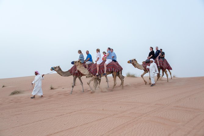 Dune Dinner Safari Abu Dhabi - Pricing and Booking Information