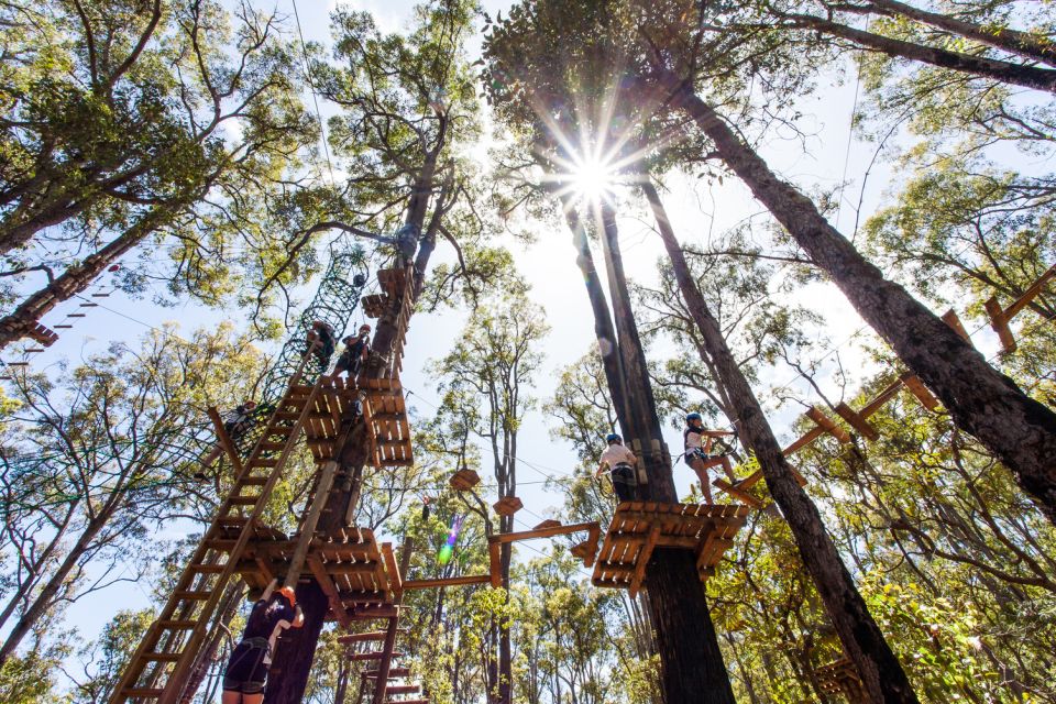 Dwellingup: Tree Ropes Course - Common questions