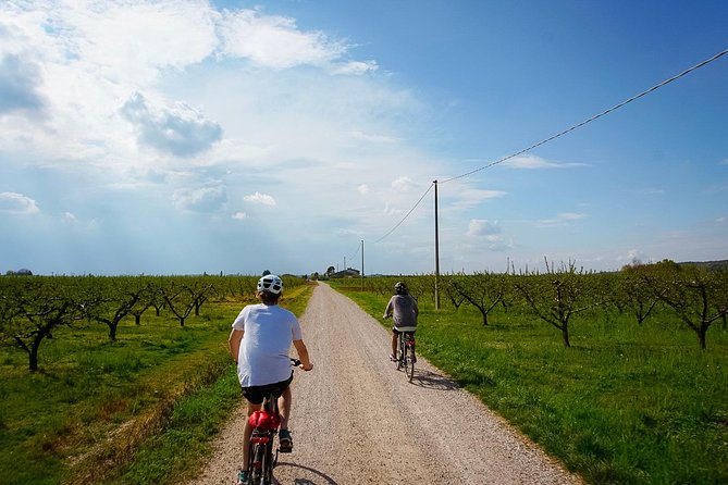 E-Bike Adventure Among Medieval Castles and Old Villages - Key Points