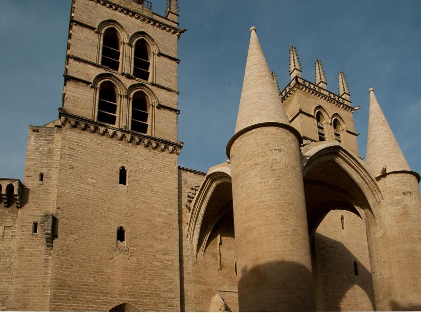 E-Scavenger Hunt: Explore Montpellier at Your Own Pace - Customer Testimonials