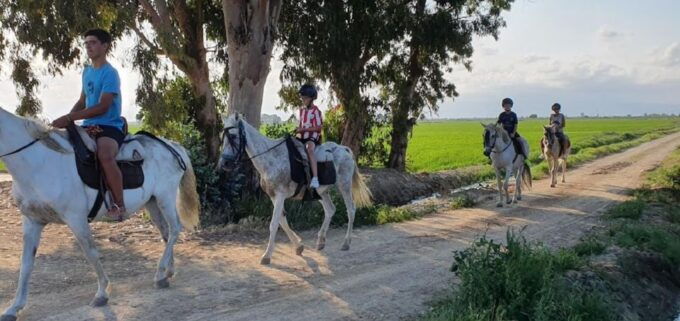 Ebro Delta National Park: Guided Horseback Riding Tour - Common questions