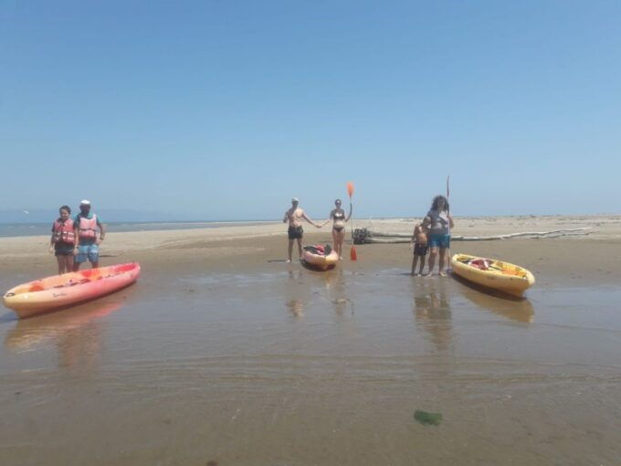 Ebro Delta National Park: Scenic Drive and Kayaking Tour - Booking Information