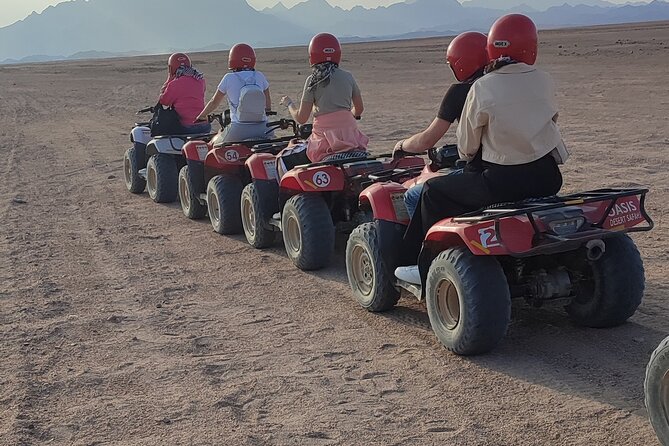 Egyptian Desert Quad Bike VIP - Common questions