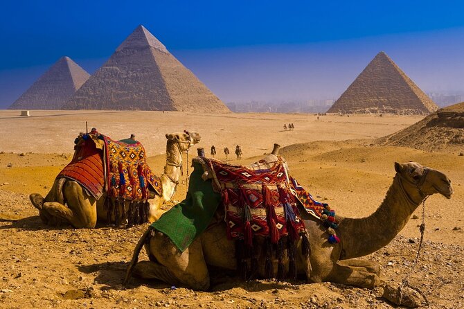 Egyptian Museum and Pyramids of Giza and Sphinx Sightseeing Tour - Copyright Terms and Conditions