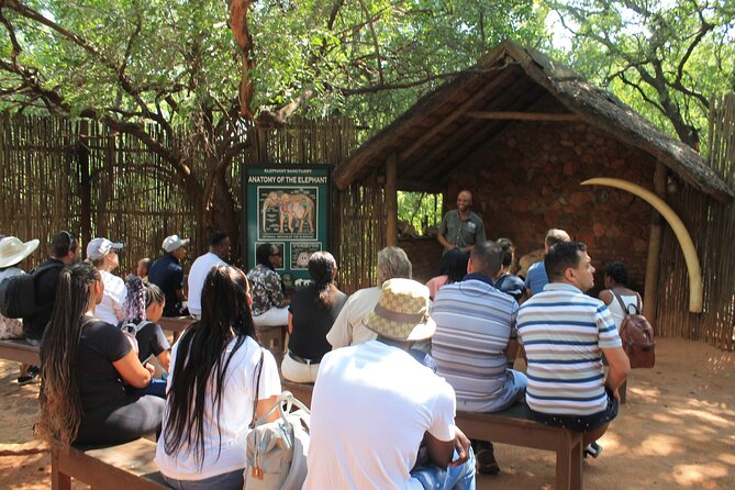 Elephant Sanctuary Tour From Johannesburg - Common questions