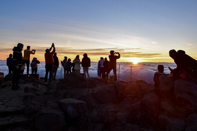 Set out on a Luxurious Private Journey: Unveiling the Madeira Best - Unforgettable Madeira Memories